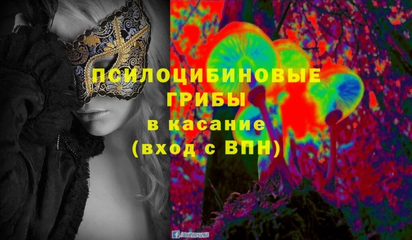 мдма Медвежьегорск